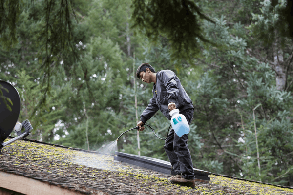 Algae and Moss Removal for G Adams