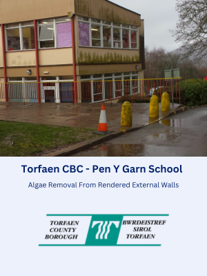Algae Removal From Rendered Exteral Walls for Pen Y Garn School & Torfaen CBC