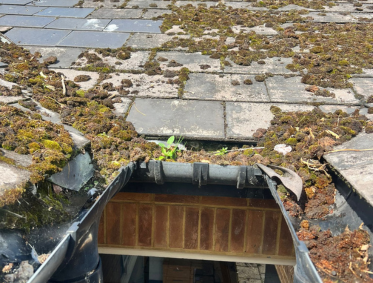 High Level Gutter Cleaning & Biocide Roof Spraying at Singleton Hospital in Swansea