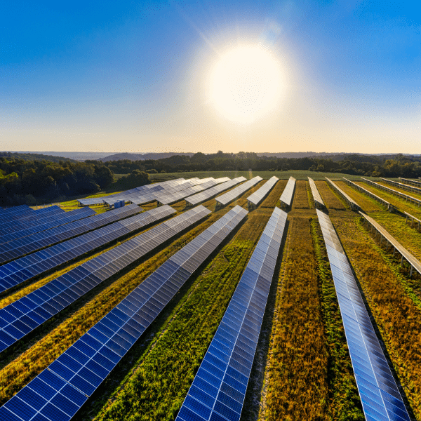 Solar Panel Cleaning Services from APT ICC