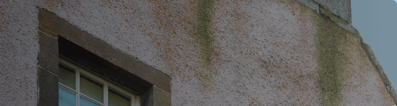 Residential Building Render Cleaning and Algae Removal at Pond House in Gloucester from APT ICC