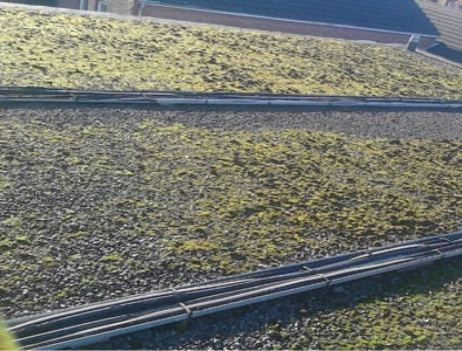 Roof Moss Removal at Dolphin Tring