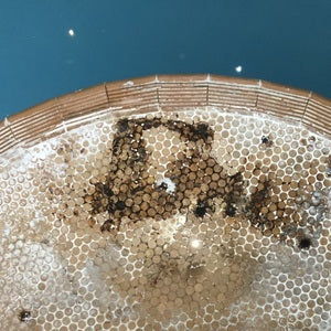 Specialist Swimming Pool Cleaning at Hallmark Hotel & Spa in Gloucester