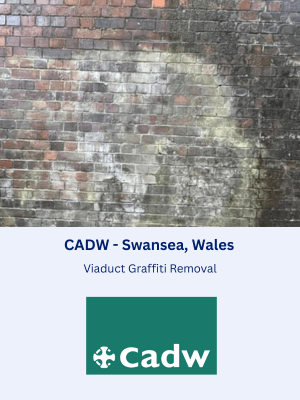 Viaduct Paint Graffiti Removal in Swansea, Wales