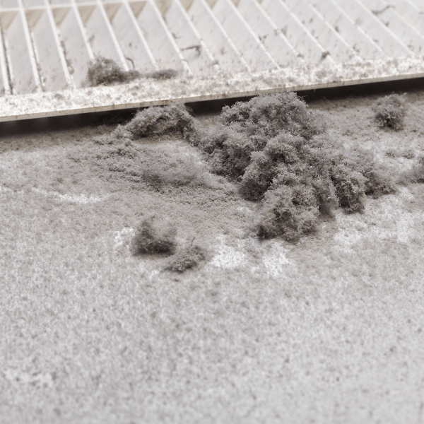 Dust Removal Cleaning Services from APT ICC