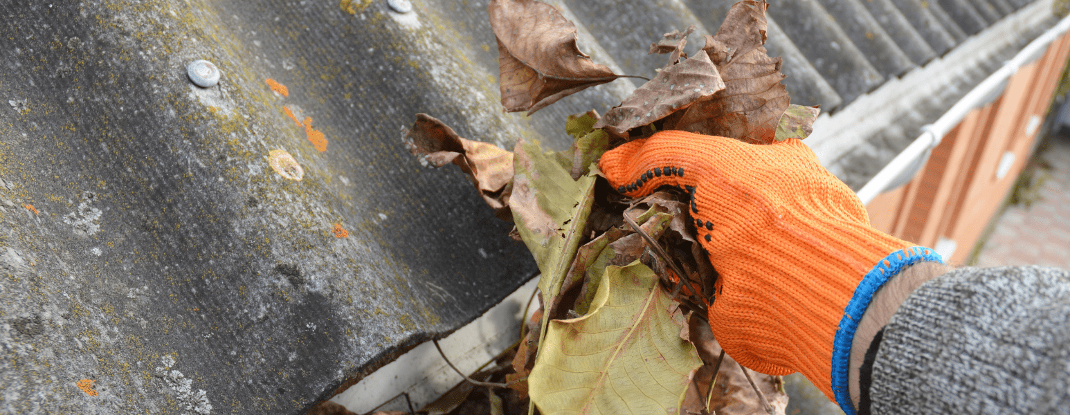 Roof Gutter Cleaning Services from APT ICC