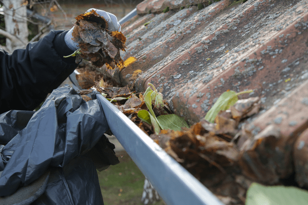 Roof Gutter Cleaning Services from APT ICC