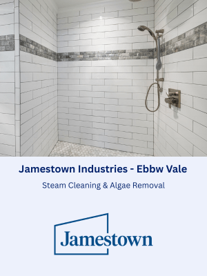 Steam Cleaning & Algae Removal at Jamestown Industries in Ebbw Vale