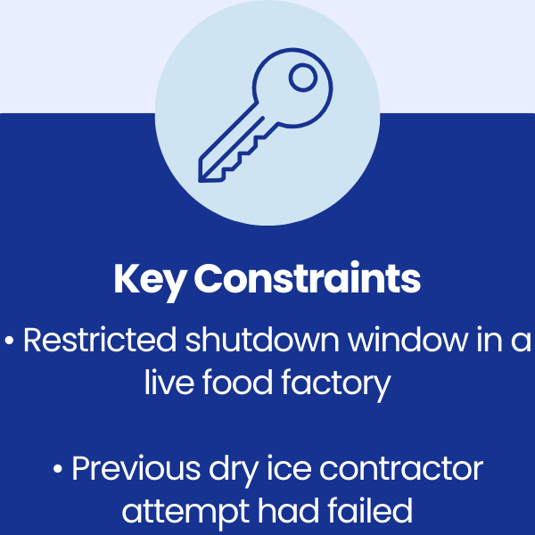 Key Constraints at Loseley Ice Creams