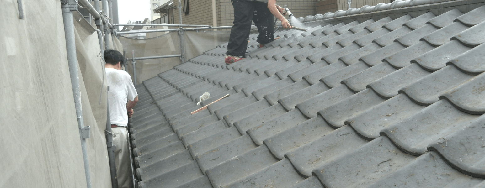 Roof Cleaning Services from APT ICC