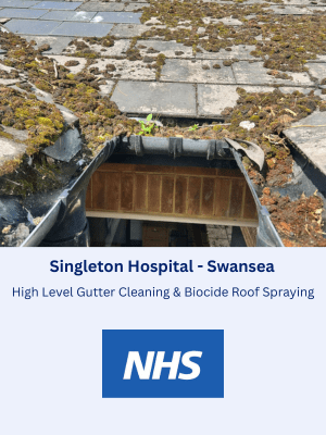 High Level Gutter Cleaning & Biocide Roof Spraying at Singleton Hospital in Swansea 