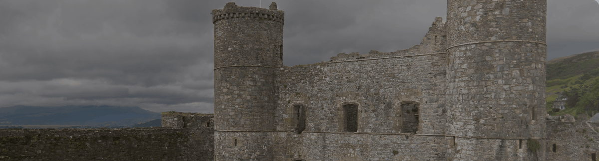 Graffiti Removal and Sandstone Restoration at Welsh Heritage Site, Newport Castle in Wales from APT ICC