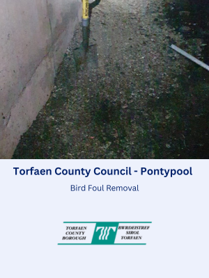 Bird and Pigeon Foul Removal for Torfaen County Council in Pontypool