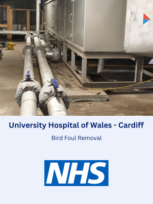 Bird and Pigeon Foul Removal at University Hospital of Wales, Cardiff