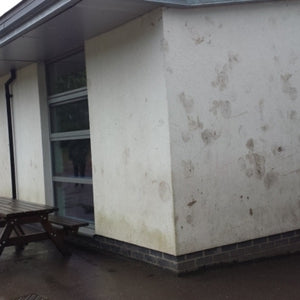 Cleaning Rendered Walls, Softwashing & Algae Removal at Penygarn Primary School in Pontypool, Wales