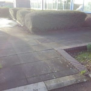 Clean Factory Service at Renolds