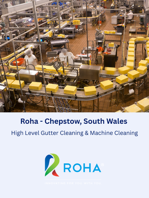 High Level Gutter and Machine Cleaning at Roha in Chepstow, South Wales