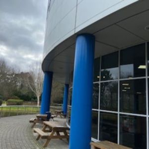High Level Cleaning & Pest Exterminator at Nexperia in Newport, South Wales