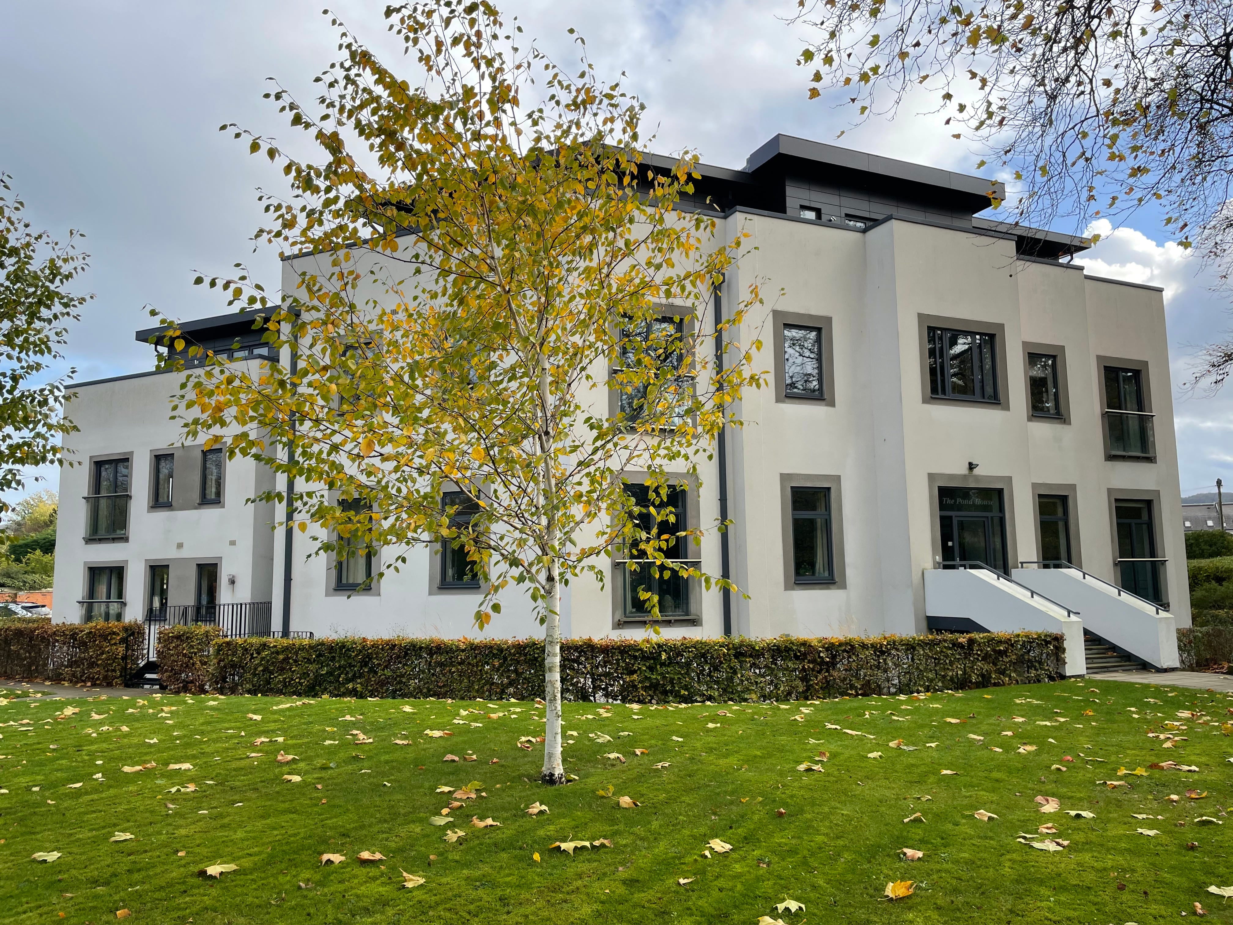 Algae Removal for Residential Client in Gloucester, England