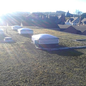 Roof Moss Removal at Dolphin Tring