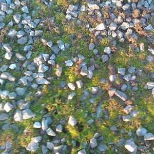 Roof Moss Removal at Dolphin Tring