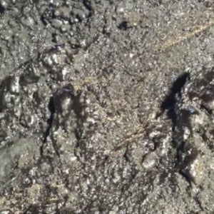 Sodablasting & Stone Restoration at St Fagans National Museum of History in Cardiff