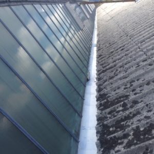 Gutter Cleaning - After