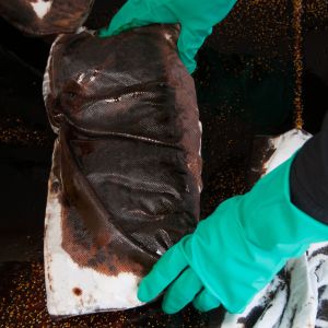 oil spill response