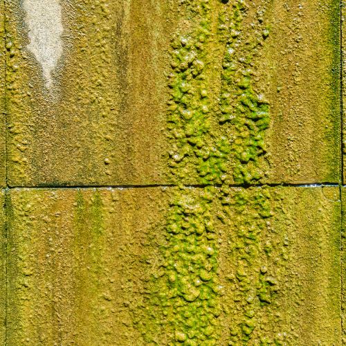 Green Algae Remover - UCB
